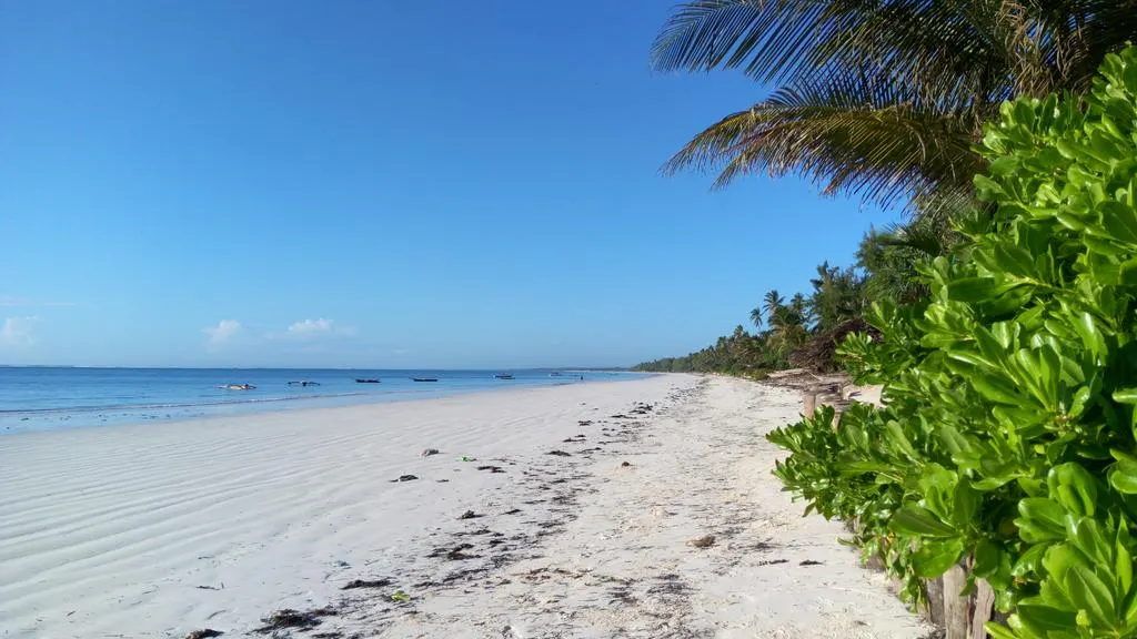 Zanzibar Bahari Villas фото 2