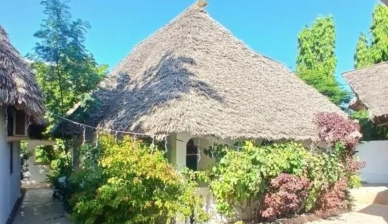 Фото отеля KIVi Cottages Nungwi