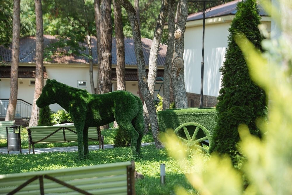 Талка Village фото 80