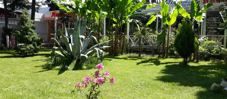 Фото отеля Гостевой дом «Аурум»