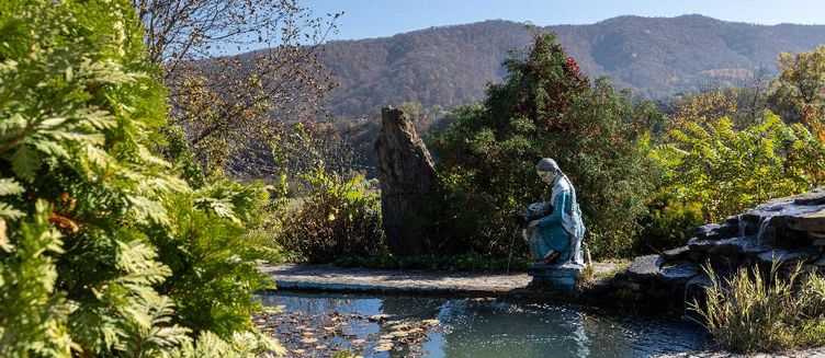 Фото отеля Санаторий «Долина Нарзанов»