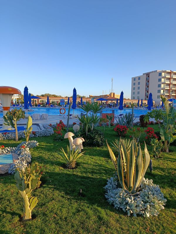 Rewaya Majestic Resort фото 315