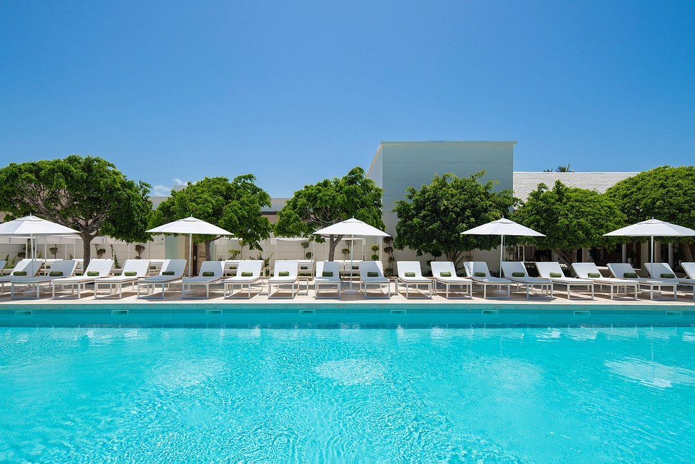Melia Punta Cana Beach Resort (Adults Only) фото 13