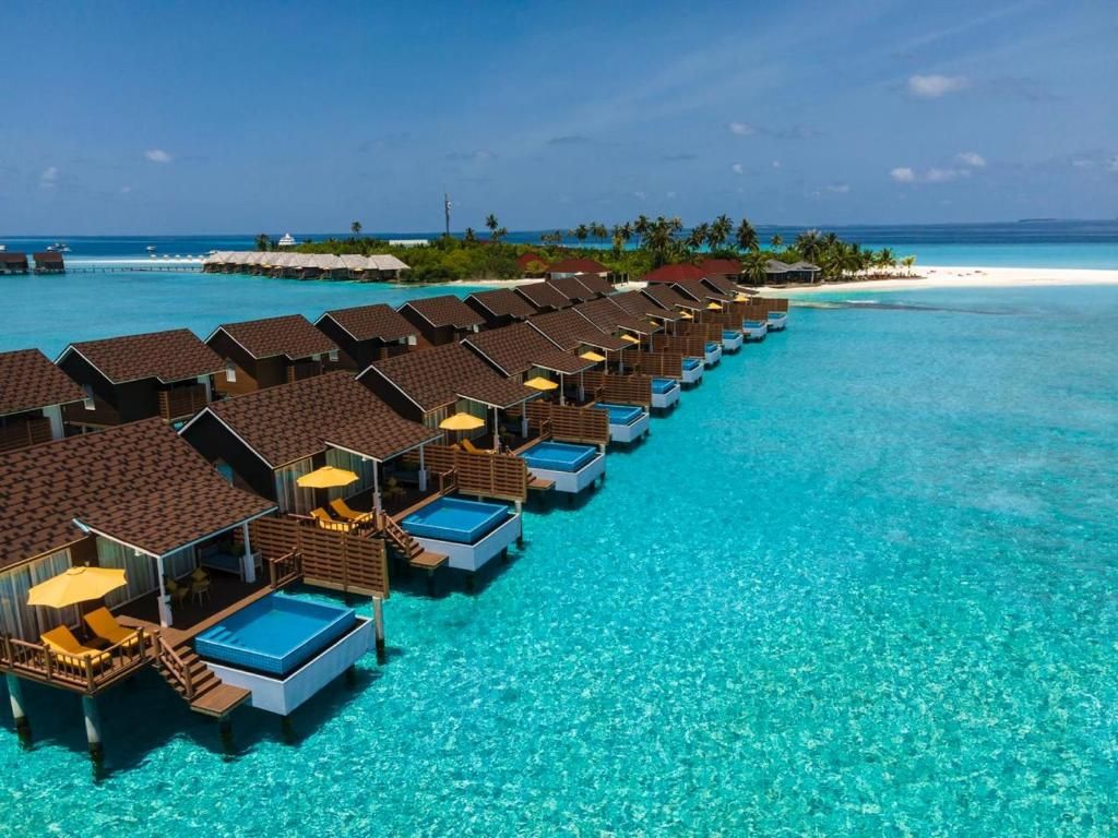 Dhigufaru Island Resort фото 63