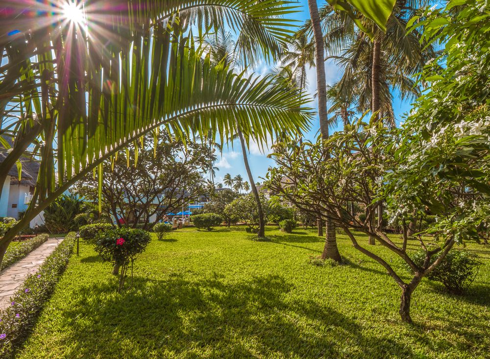 Nungwi Beach Resort by Turaco фото 121