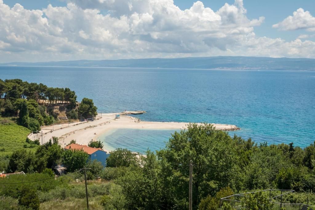 Pax фото 32