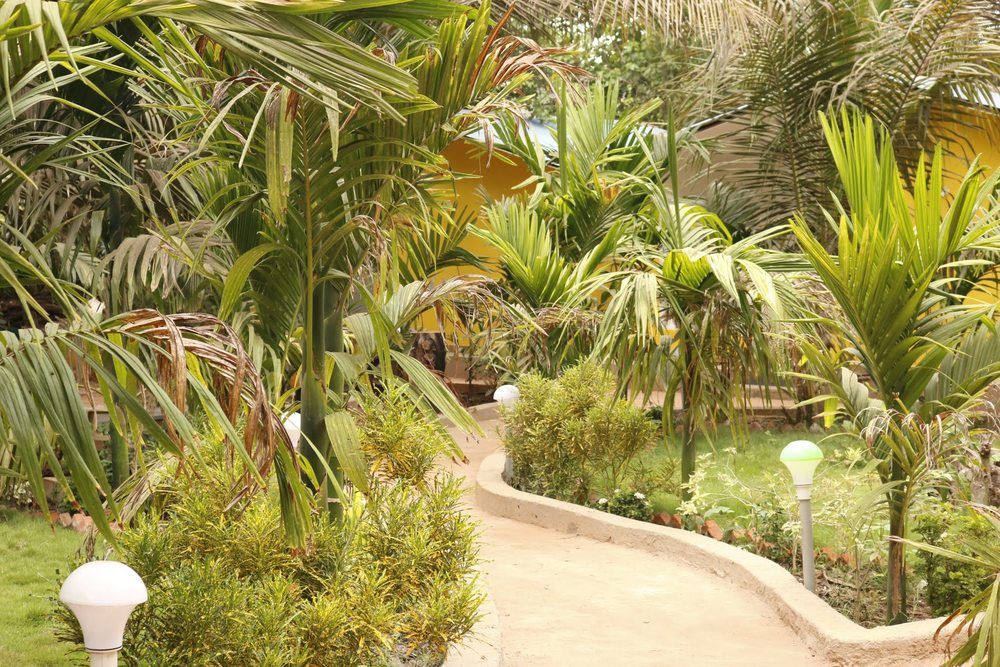 Lavish Exotic Hotel & Apartment фото 11
