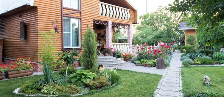 Фото отеля Альтернатива