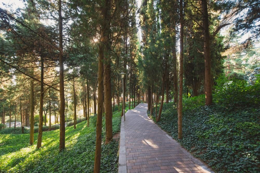 Wellness SPA Отель Море фото 92