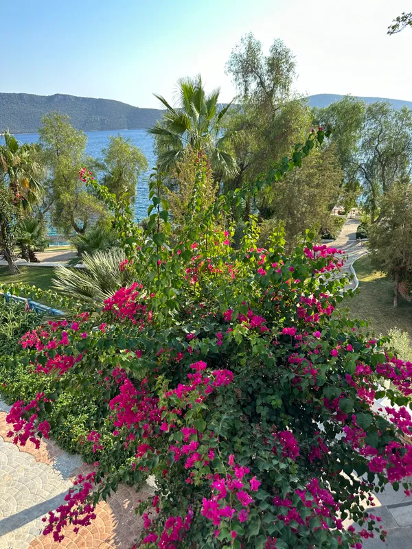 Bodrum Holiday Resort & Spa фото 84