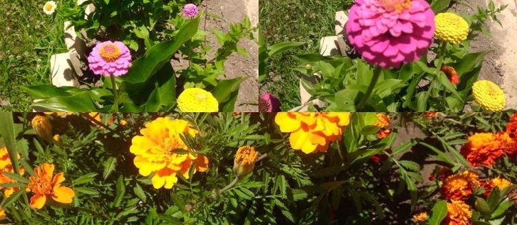 Фото отеля Ахчыпсы