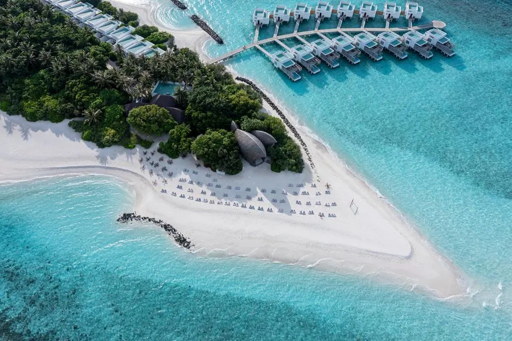 Niva Dhigali Maldives фото 36