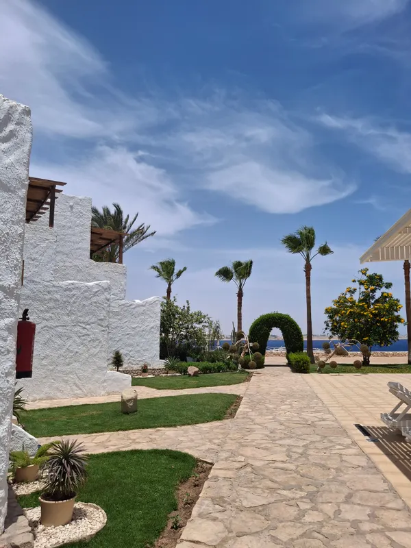Sharm Club Beach Resort фото 72