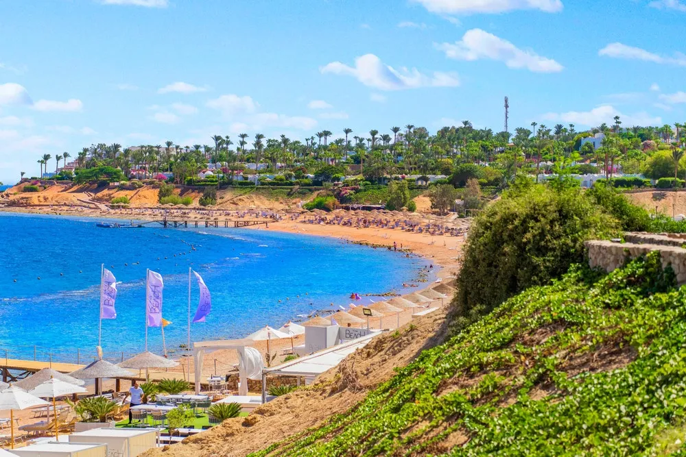 Domina Coral Bay Aquamarine Beach фото 39
