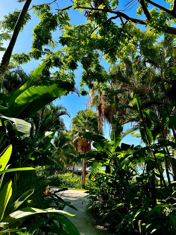 Alibu Resort фото 27