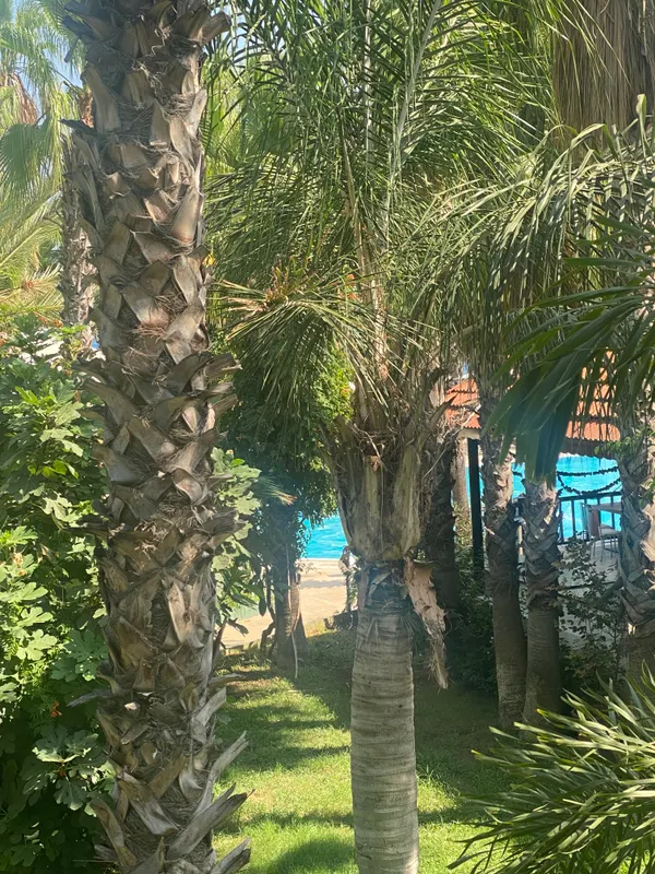 Marvida Hotel Akman Park фото 50