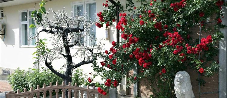 Фото отеля Альтернатива