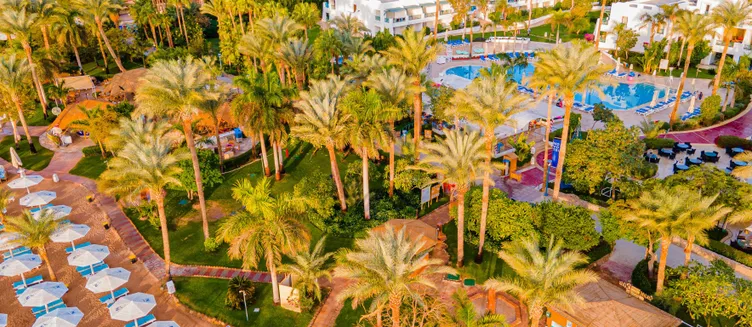 Фото отеля Novotel Beach Sharm El Sheikh
