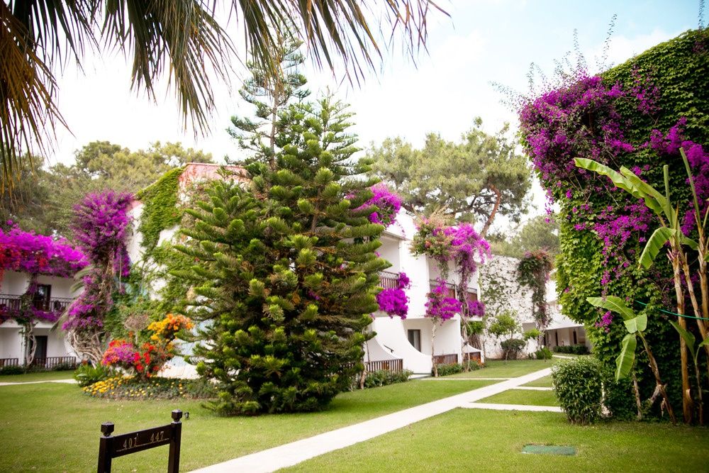 Club Boran Mare Beach фото 83
