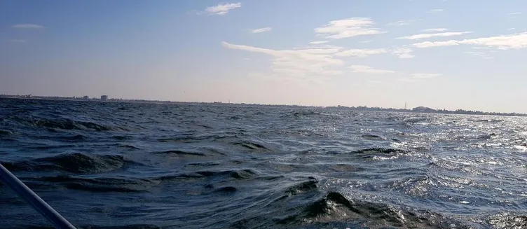 Фото отеля Fish & Chips