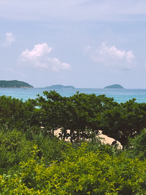 Yalong Bay Mangrove Tree Resort фото 41
