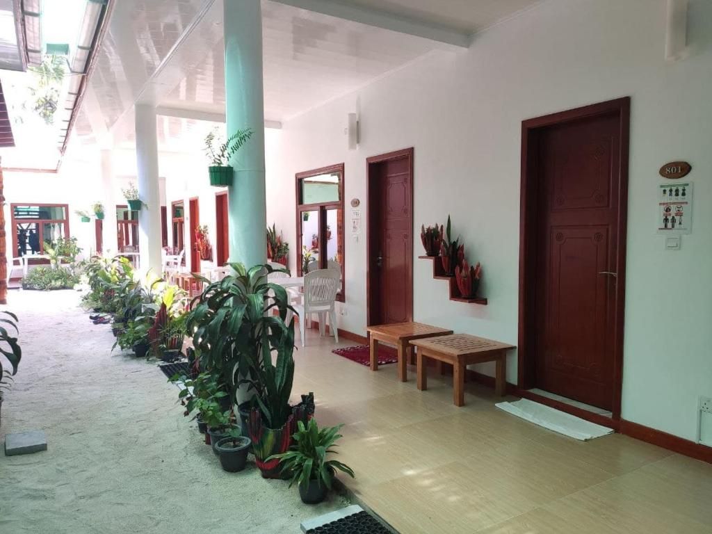 Guest House «Summer Sky Thoddoo Guest House» фото 6