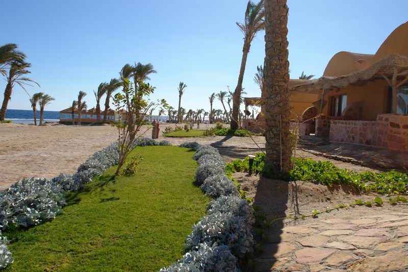 Badawia Resort фото 12
