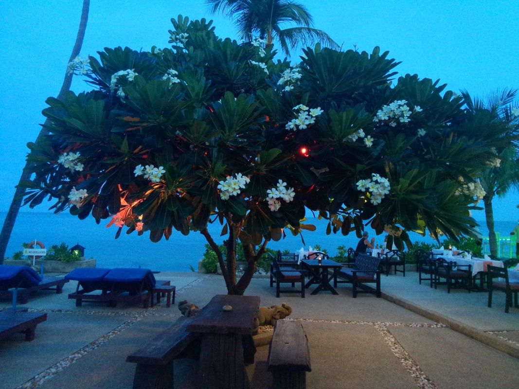Rummana Boutique Resort фото 28
