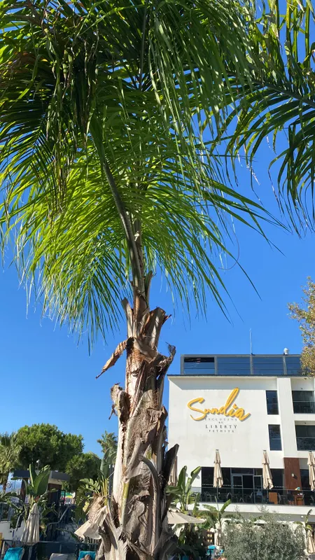 Sundia Exclusive By Liberty Fethiye (Adults Only) фото 48