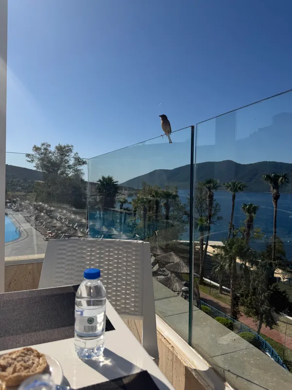 Bodrum Holiday Resort & Spa фото 70