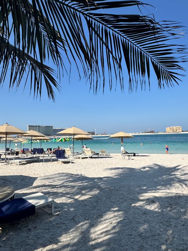 Movenpick Resort Al Marjan Island фото 63