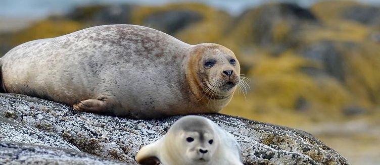Фото отеля "Байкал Хит (6 дней)"