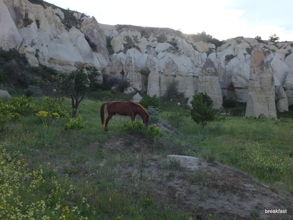 Anatolia Cave Hotel & Pension фото 31