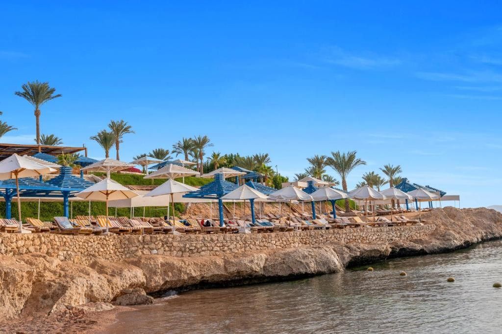 Grand Oasis Resort фото 7