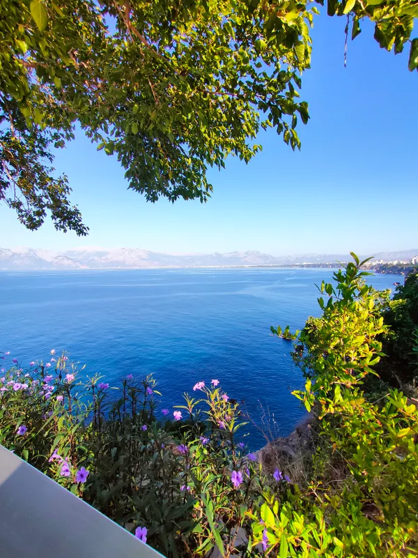 Antalya Adonis фото 77