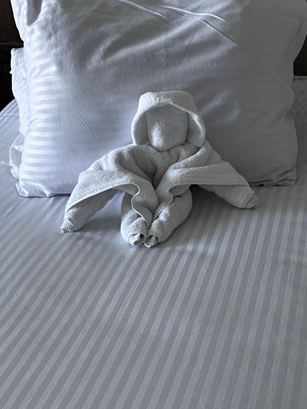 Rewaya Majestic Resort фото 350