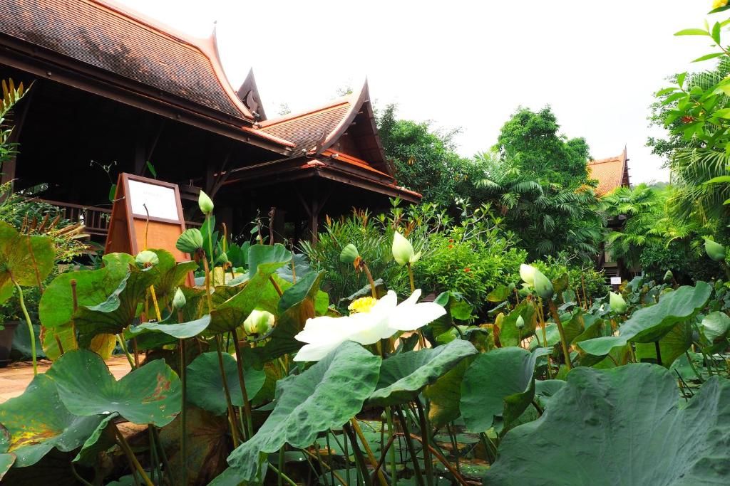 Khaolak Bhandari Resort & Spa фото 54