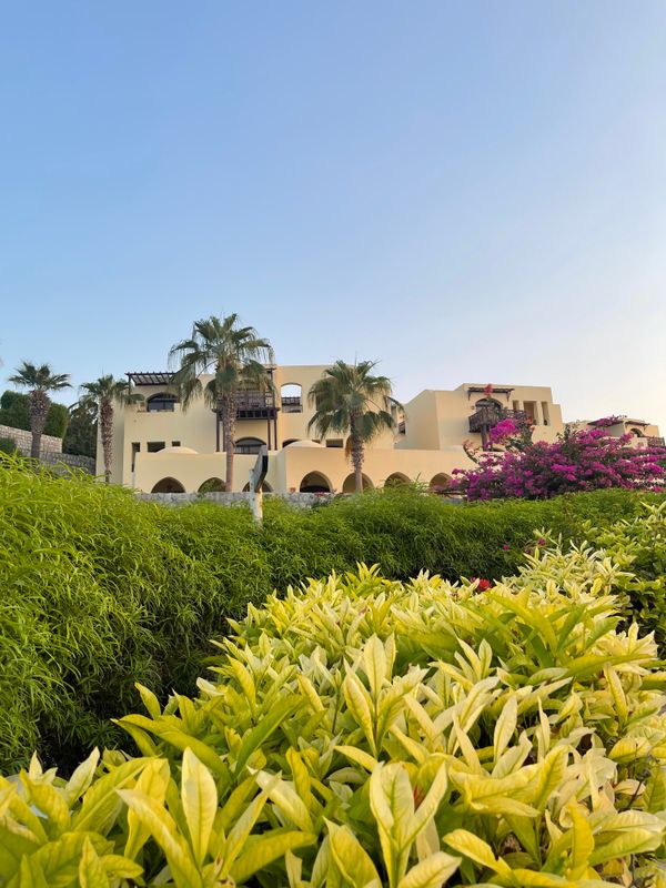 The Cove Rotana Resort фото 72