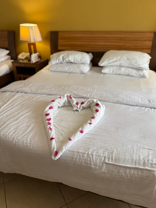 Xperience St. George Homestay фото 60