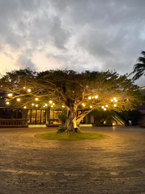 Narada Resort & Spa Perfume Bay Sanya - All Villas фото 35