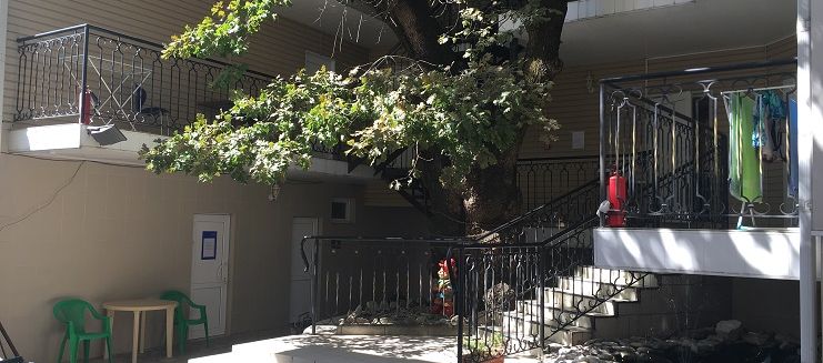 Фото отеля Лукоморье