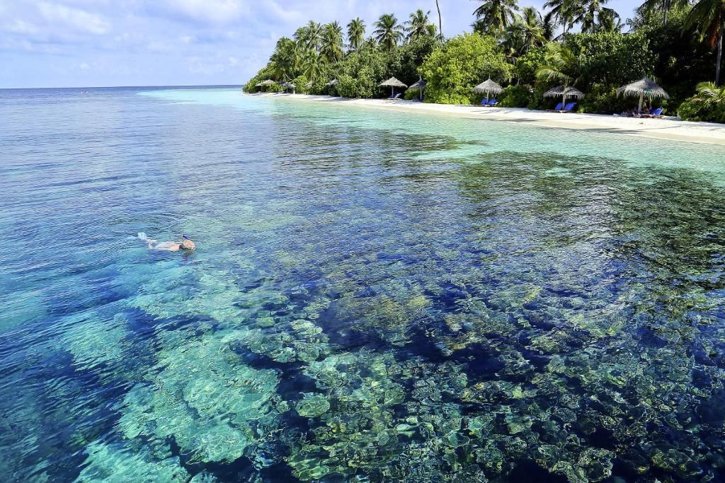 Robinson Club Maldives (Adults Only) фото 25