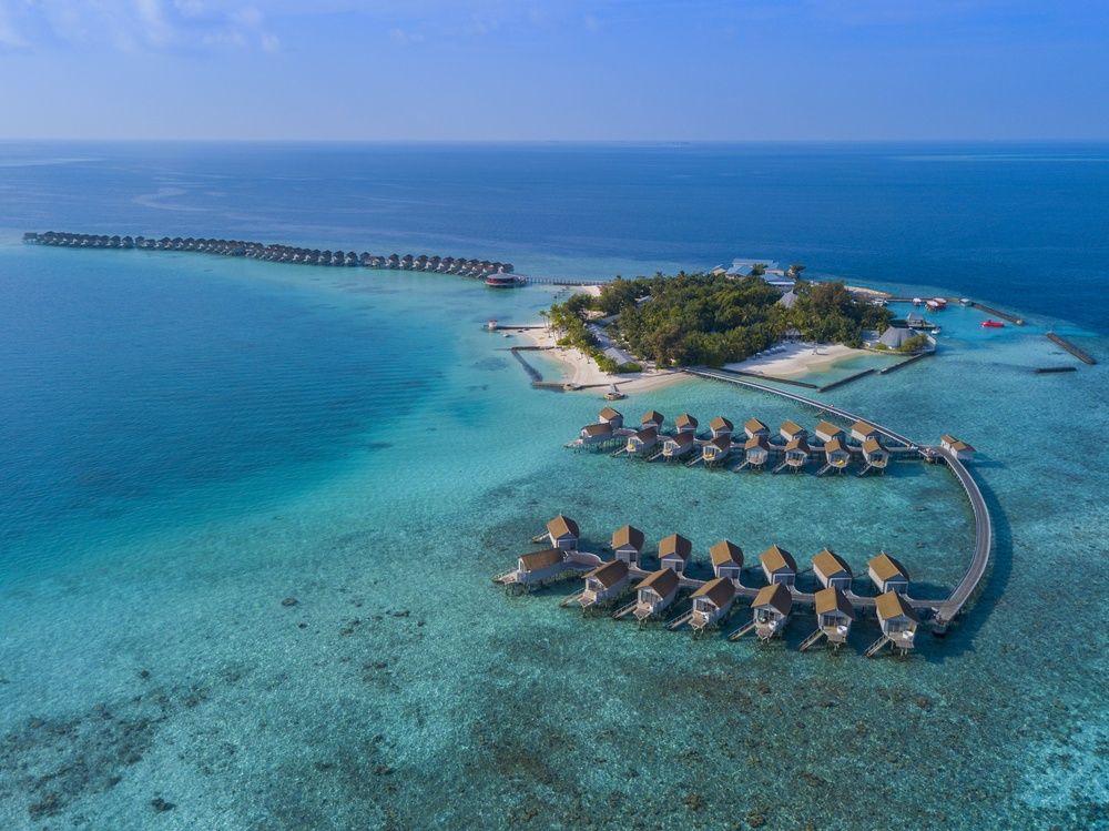 Centara Ras Fushi Resort & Spa Maldives (Adults Only) фото 105