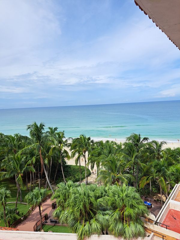 Melia Las Americas (Adults Only) фото 70