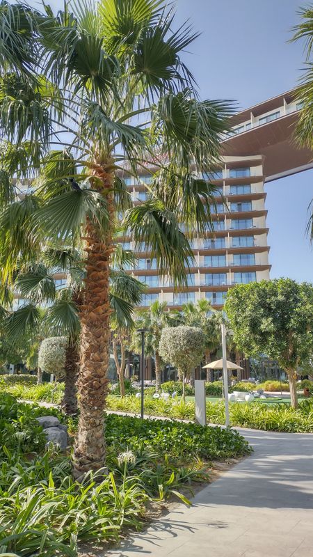 Movenpick Resort Al Marjan Island фото 53