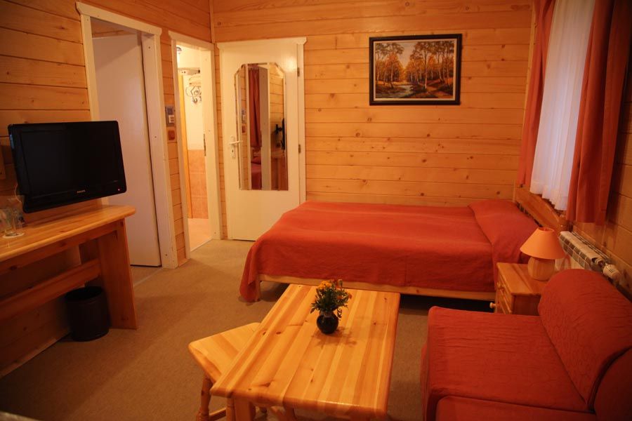Hotel Alpin фото 8