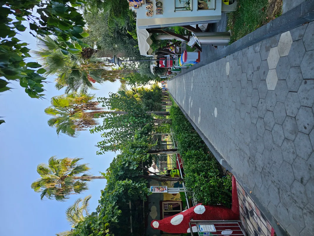 Saphir Hotel & Villas фото 82
