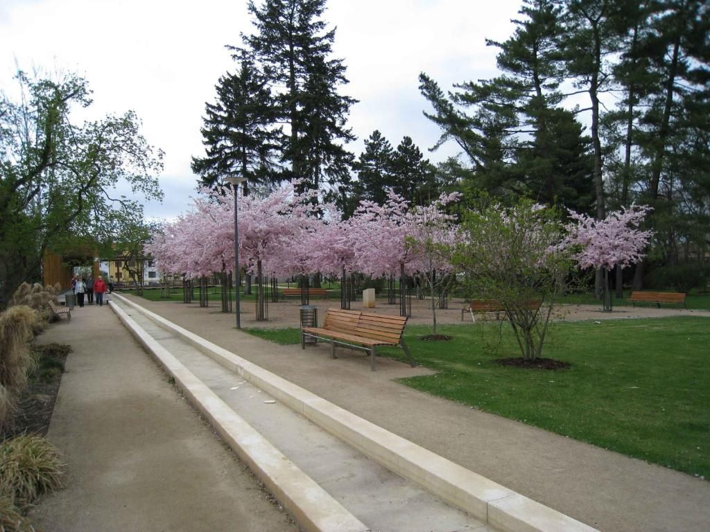 Lazensky Hotel Park фото 14