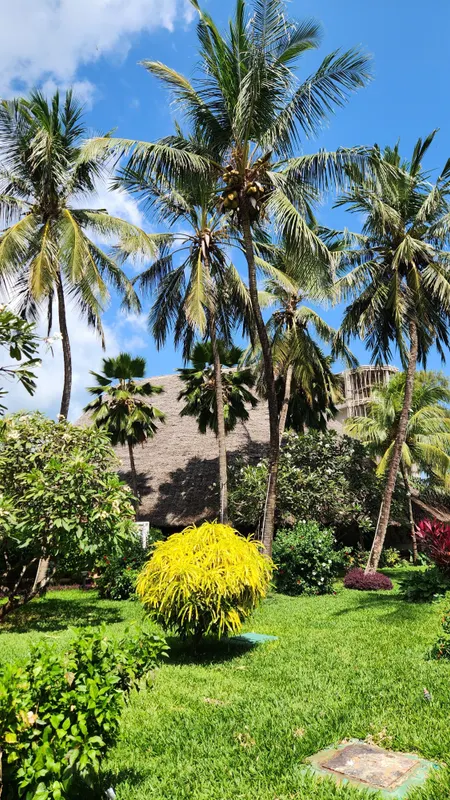 Nungwi Beach Resort by Turaco фото 65