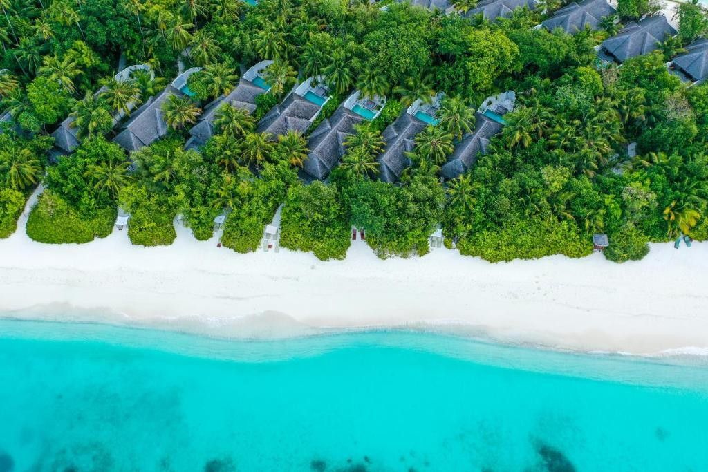 Coco Bodu Hithi фото 8